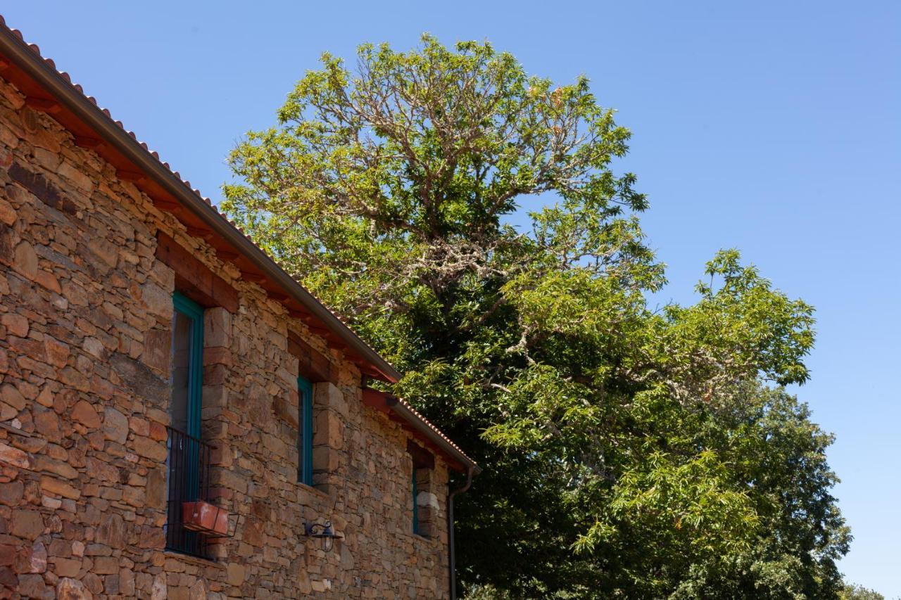 Casa Terra Alma Guest House Laza Bagian luar foto